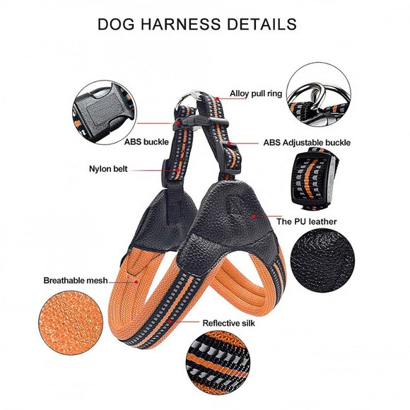 Orange Reflective Dog Harness and Leash Set - Picture 2 of 5
